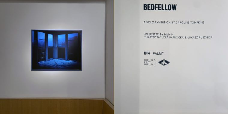 Wystawa „Bedfellow” Caroline Tompkins w Londynie