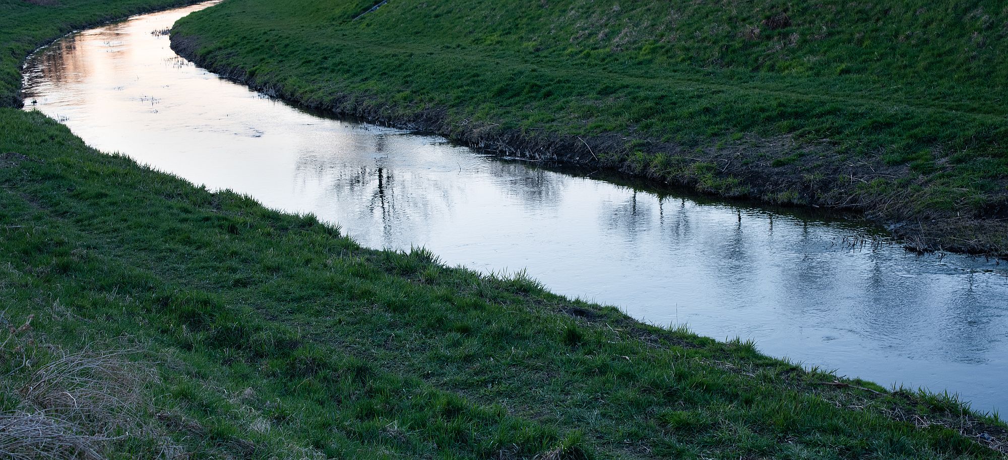 Rzeka Ślęza w Parku Grabiszyńskim - fot. Magdalena Mądra